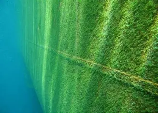 Underwater split-level view of boat hull showing above and below waterline with clear visibility