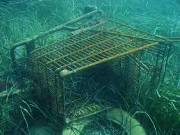 Underwater debris and contaminant detection using drone technology